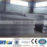 CE,TUV Certificated Iron welded galvanized fence/welded wire mesh 50x50