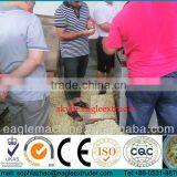 Stainless Steel Machines for Bugles/doritios/Tostitos thumbnail-1