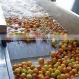 Apple Chips Production Line thumbnail-1