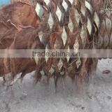 Q020214 Garden Decoration Artificial Tree no Leaves Plastic Palm Tree Natural Fake Tree Trunks thumbnail-2