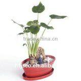 Bulk Cheap Ecological Bamboo Fiber Flower Pots & Planters