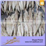 Healthy and Reliable Bonito Tuna Loin For The Convenient Food thumbnail-1