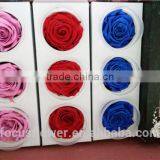 6-7 cm Preserved Rose Big Bud Red Rose With A Grad Quality From Kunming thumbnail-5
