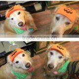Pumpkin Base Ball Cap for Dog , Dog Pumpkin Base Ball Cap,pumpkin Dog Hat thumbnail-2
