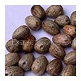 Macleaya Cordata Extract thumbnail-1