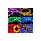 Waterproof IP68,150PCS/5Meters SMD 5050 LED Flexible Strip Light,DC12V