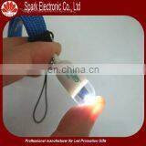 Keychain Capsule, Led Key Chain Capsule , Capsule Led Keyring