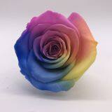 Preserved Rose Preserved Flowers Dried Flowers Birthday Valentine Party Wedding thumbnail-4