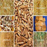 Dzl Biomass Pellets Coconut Shell Firewood Fired Steam Boiler Price for Oil Processing Plant thumbnail-5