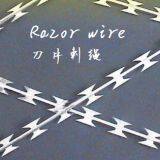 Barbed Wire / Razor Wire / Viper Net / Barbed Wire Rolling Cage thumbnail-2