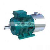 Totally Enclosed Electric Motor thumbnail-6