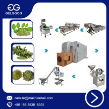 Stainless Steel Moringa Powder Making Machine Moringa Leaf Powder Processing Machine