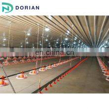 Used Steel Frame Chicken Shed Poultry Farming House Design thumbnail-1