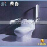 Elderly Disabled Toilet Handicap Handrails