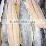 Good Frozen Spanish Mackerel Pieces Cut Mackerel Fillets