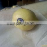 China Pomelo fruit