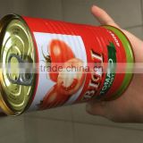 198g*48tins canned tomato paste for middle east market