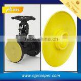 Producer in China Plastic Valve Flange Caps and Covers