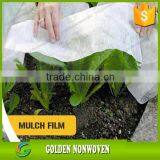 Low MOQ Nonwoven Fabric Plant Cover /non Woven Banana Protection Bag thumbnail-6
