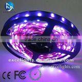 High Brightness 5050 SMD LED Strip Light