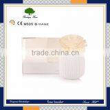 100ml Best Sales Product Aromatherapy Deodorant Home Fragrance Reed Diffuser Set