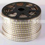 2016 Hotsale Europe High Lumen DC12V Led Rope Light thumbnail-1