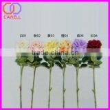 2016 New Design Fake Silk Cream White Rose thumbnail-1