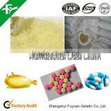 China Supplier Wholesale Food Grade Edible Kosher Halal Gelatin