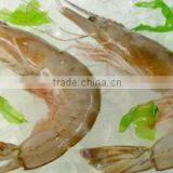 Zhoushan Haohai Aquatic Products Co., Ltd. company overview - view 1 thumbnail