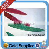 Animal Pathological Glass Educational Accessories Prepared Slides