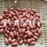 New Crops Red Skin Peanut Kernel thumbnail-6
