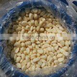 Garlic in Brine thumbnail-2