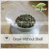 EU Standard GWS Pumpkin Seeds for Sale thumbnail-5