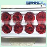 Import China Preserved Flowers Preserved Austin Rose Wholesale thumbnail-4