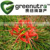 Galanthamine/lycoremine /Lycoris Extract thumbnail-2