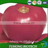 High Yield Determinate Tomato Seeds With Good Disease Resistance thumbnail-1