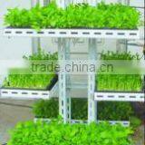 Convenience High Quality Hydroponic System thumbnail-2