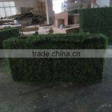 CHY040819 Home Artificial Hedge, Garden Golden Grass Hedge Suppliers thumbnail-2