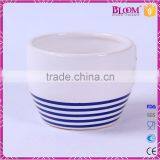 Garden Desktop Decoration for Small Ceramic Flower Pot thumbnail-4