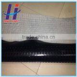 Green Roof and Water Proof Wall Drainage Boards Composite Dimple Geomembrane thumbnail-2