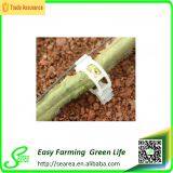 Tomato Grafting Clips thumbnail-3
