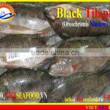 FROZEN BLACK TILAPIA WHOLE ROUND thumbnail-6