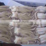 Frozen Squid Head Tentacles thumbnail-1