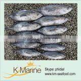Land Frozen Albacore Tuna 1kg up Lot Number#kmw4009 thumbnail-1