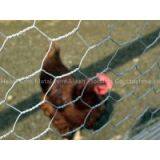 Anping Supplier High Quality Hexagonal Wire Mesh thumbnail-2