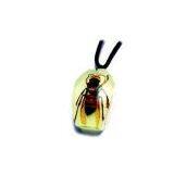 Real Insect Amber Necklace pendant(crafts,gifts,souvenir ,novelties,gift promotion)