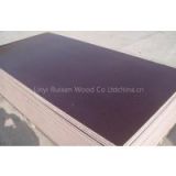 18mm Brown film faced plywood / marine plywood price/ film faced shuttering plywood/ film faced shuttering plywood