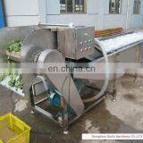 Big Capacity Multifunctional Vegetable Washing Machine by Air Bubble thumbnail-4