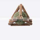 Pet Teeth Cleaning Stick Cat Interactive Teasing Toy Cat Entertaining Toy Pet Supplies thumbnail-3