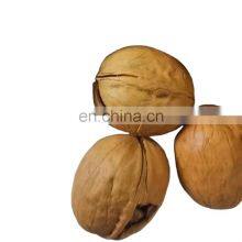 Factory Outlet Premium Walnuts and Kernels Raw Walnut of Low Price thumbnail-5